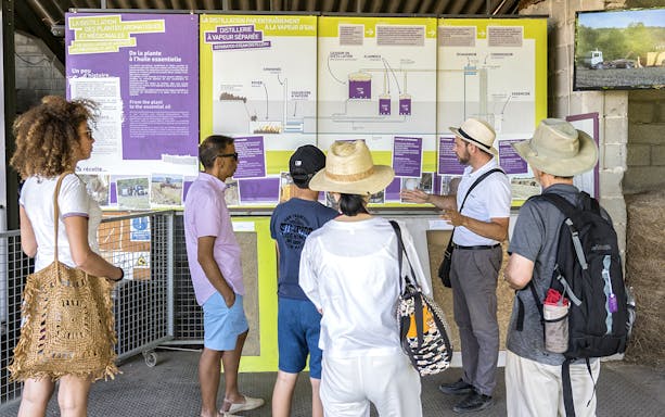 Tour group learning about lavender distillation process in Sault, France.