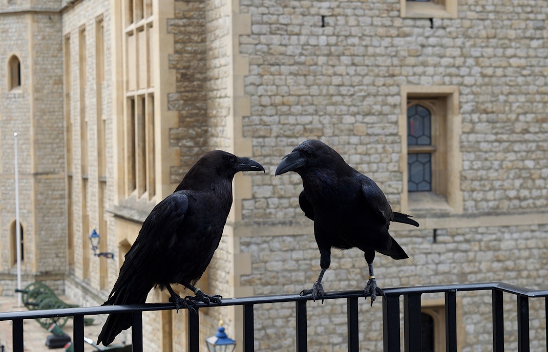 Tower of London Facts