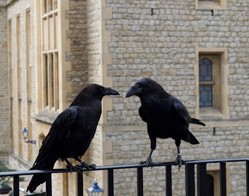 tower of london inside