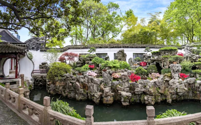 Yu Garden rockery and pond with lush greenery and traditional architecture, Shanghai, China.