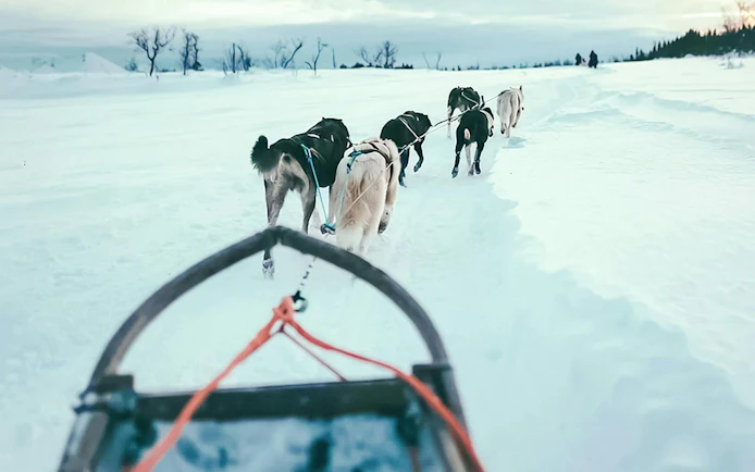 Husky sledding through snowy landscape in Tromso, Norway.