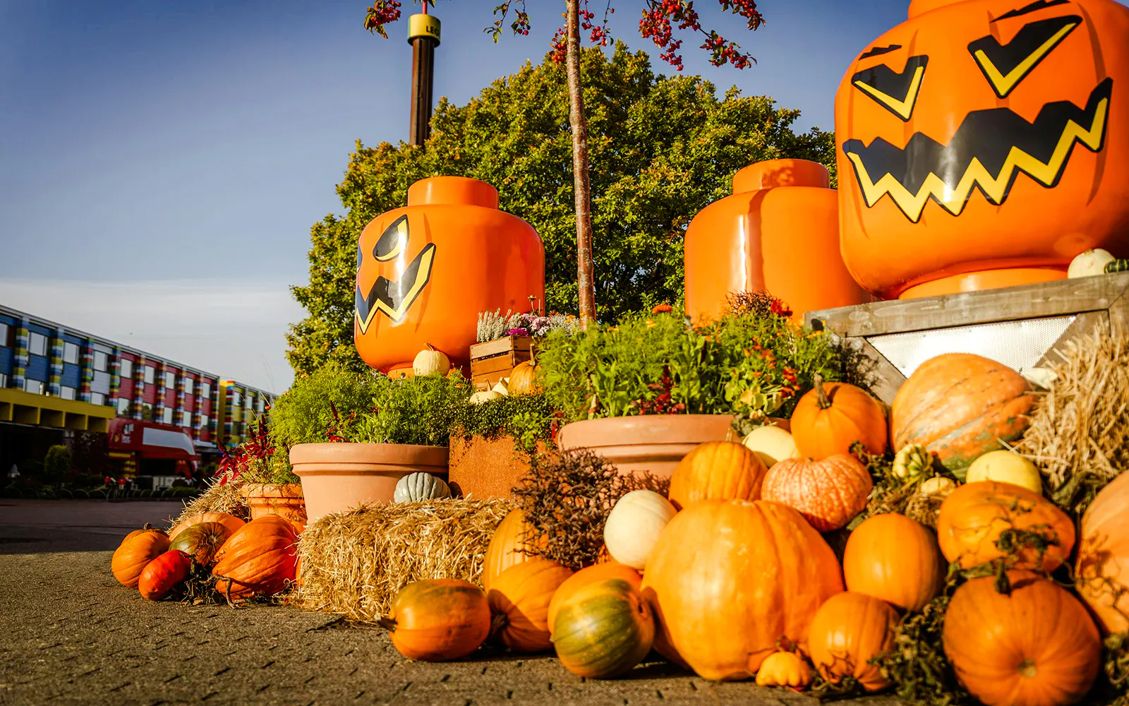 Halloween-themed Lego pumpkin decorations at Legoland Billund with colorful pumpkins and plants.