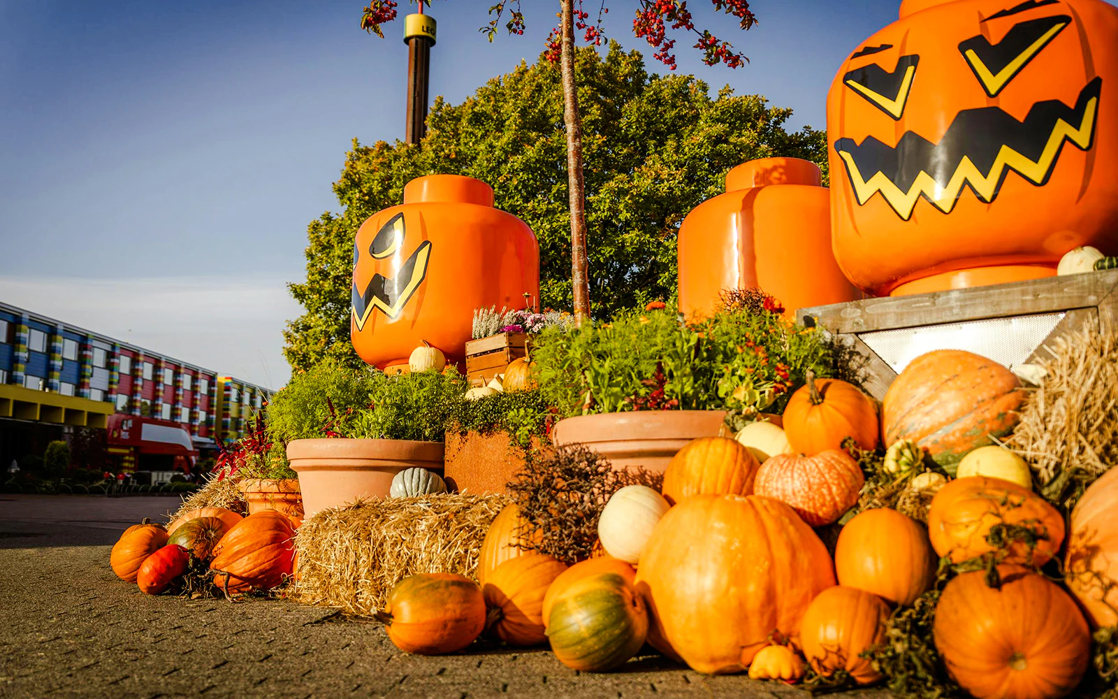 Halloween-themed Lego pumpkin decorations at Legoland Billund with colorful pumpkins and plants.