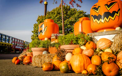Halloween-themed Lego pumpkin decorations at Legoland Billund with colorful pumpkins and plants.