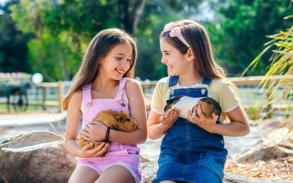 Girls holding guinea pigs at Paradise Country animal nursery, Gold Coast.