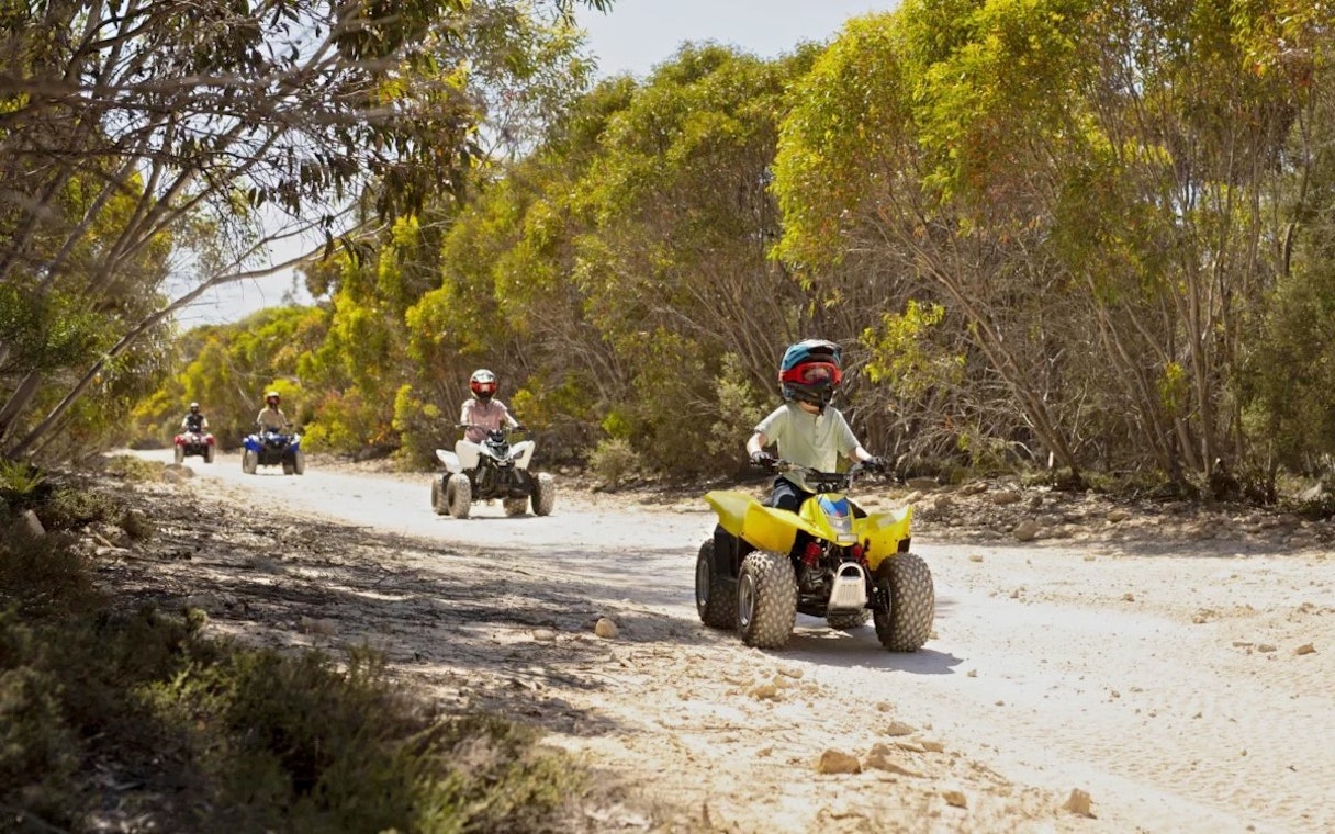 Group riding ATVs through forested trail at Vivonne Bay, Kangaroo Island.
