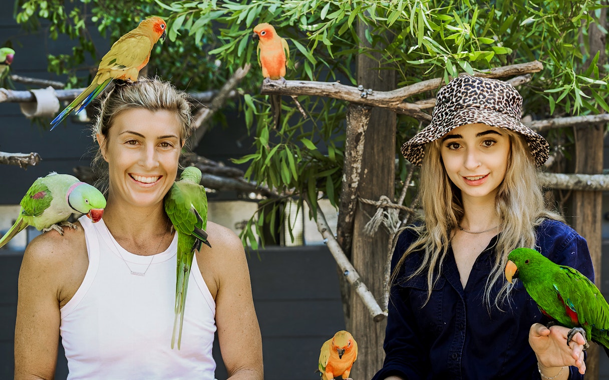 Visitors interacting with colorful parrots at Maleny Botanic Gardens and Bird World.