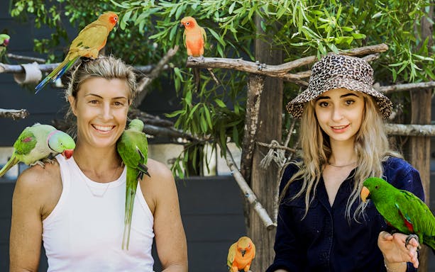 Visitors interacting with colorful parrots at Maleny Botanic Gardens and Bird World.