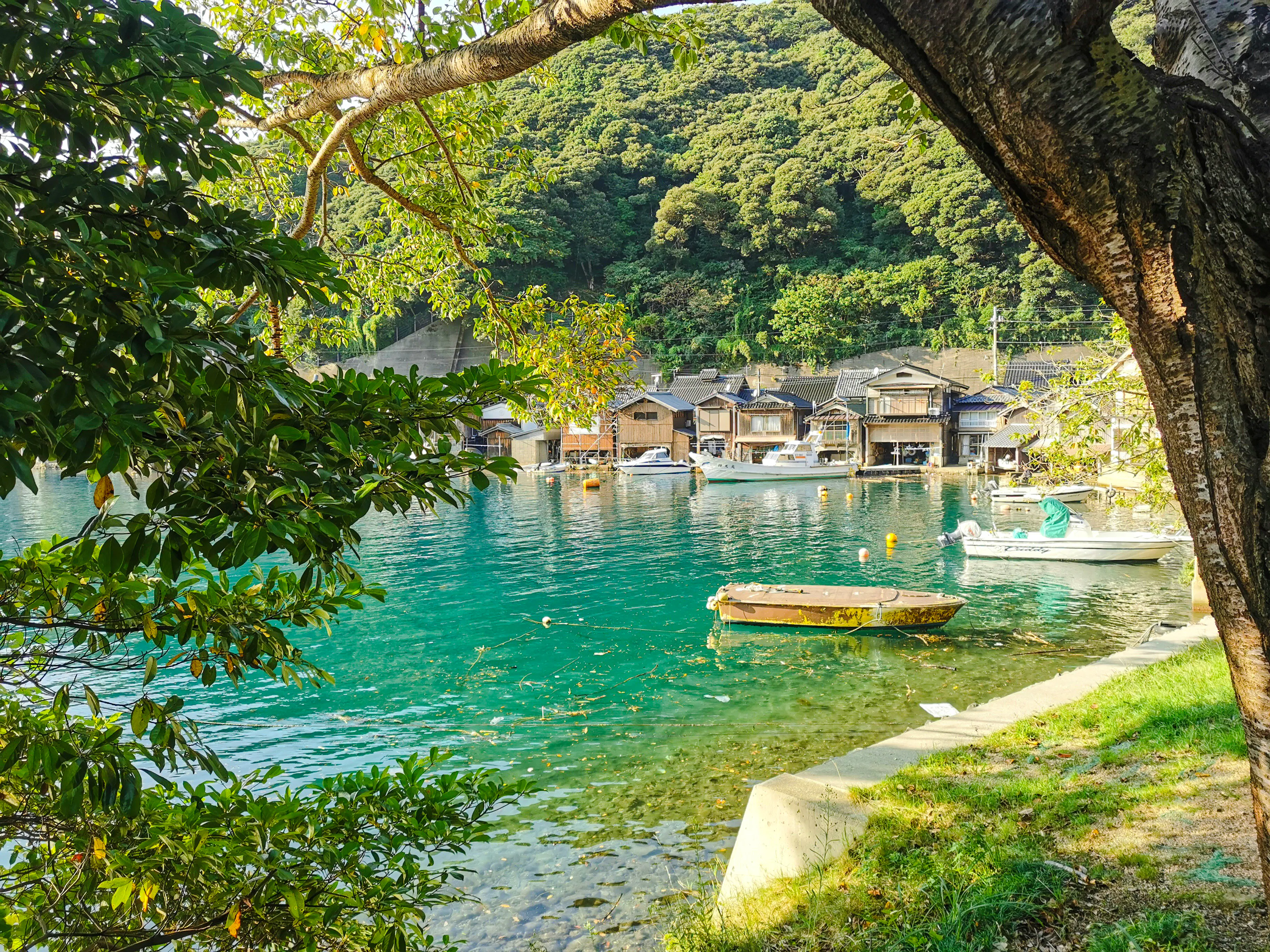 From Osaka to Nagoya: Amanohashidate & Ine Funaya Boathouses One-Way Day Tour