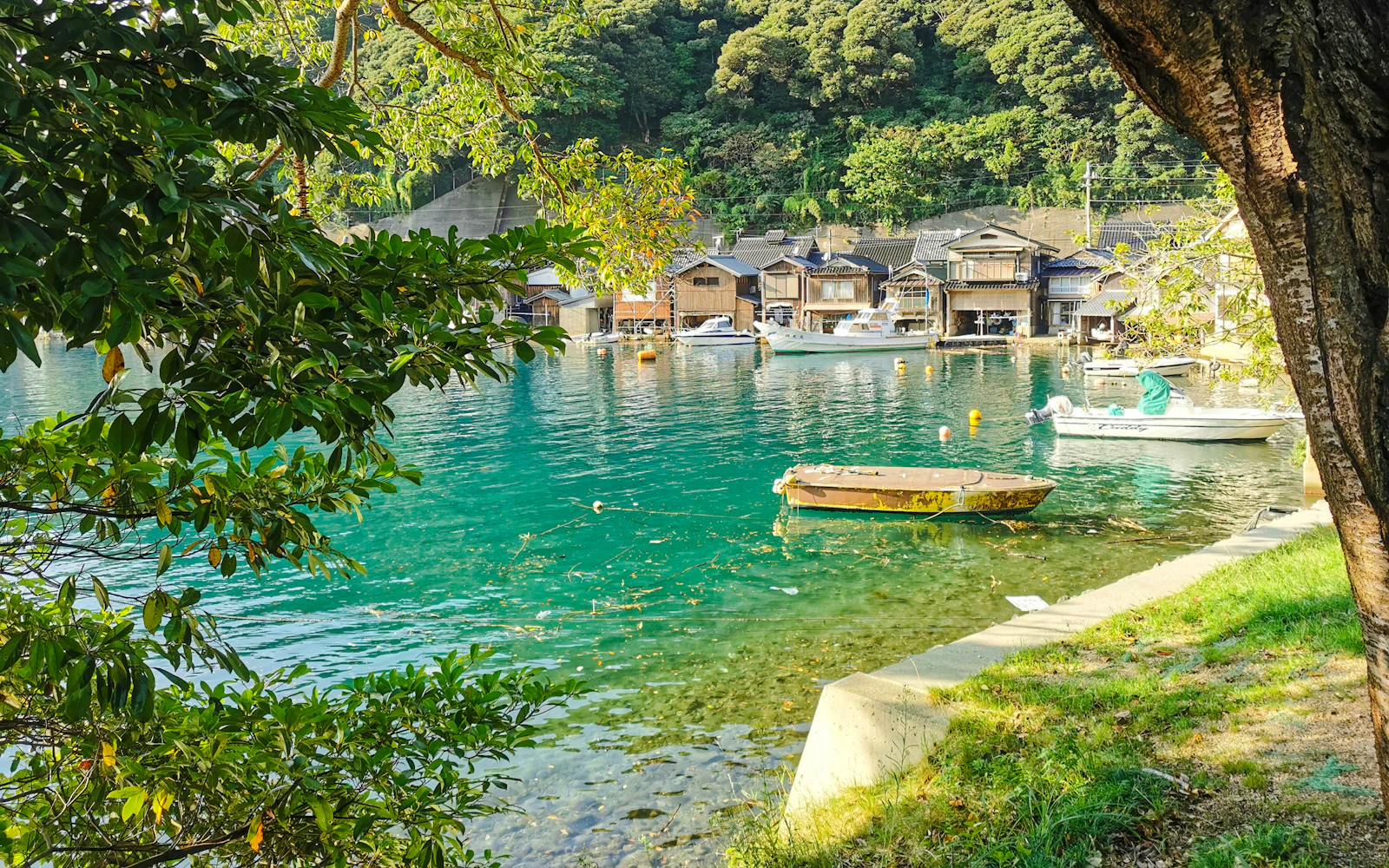 From Osaka to Nagoya: Amanohashidate & Ine Funaya Boathouses One-Way Day Tour