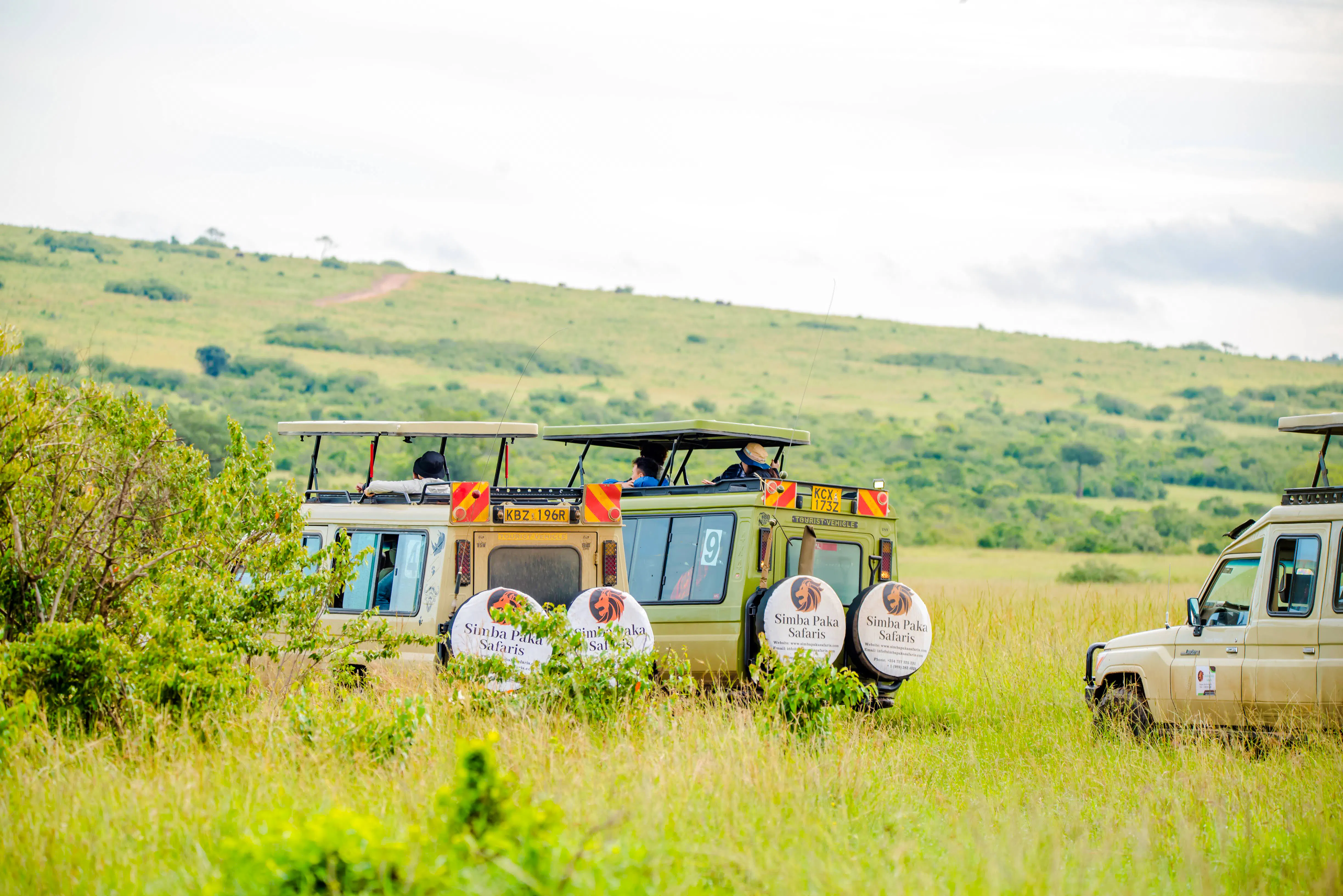 From Nairobi: 7-Day Masai Mara & Lake Nakuru Safari Image 8