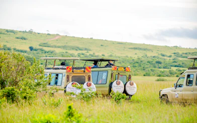 From Nairobi: 7-Day Masai Mara & Lake Nakuru Safari