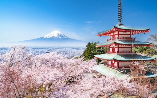 Chureito Pagoda with cherry blossoms and Mt. Fuji in the background, Kawaguchiko.