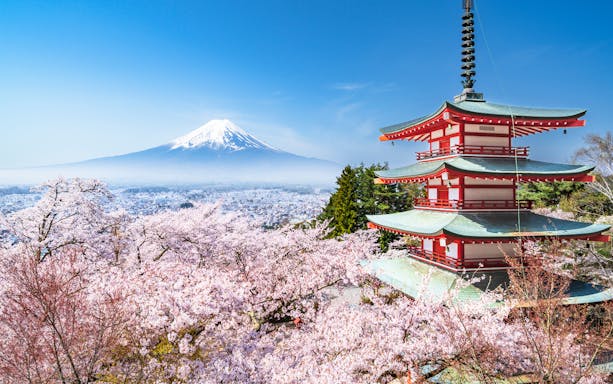 Chureito Pagoda with cherry blossoms and Mt. Fuji in the background, Kawaguchiko.