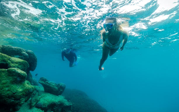 Snorkelers exploring coral reef at Lady Musgrave Island.