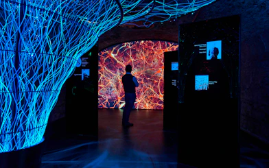 Visitor exploring interactive digital display at epic museum exhibit.