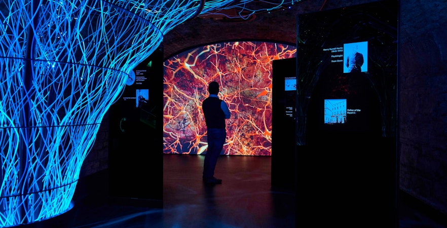 Visitor exploring interactive digital display at epic museum exhibit.