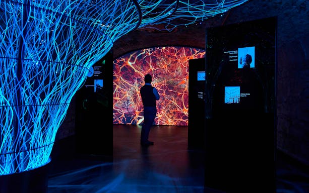 Visitor exploring interactive digital display at epic museum exhibit.