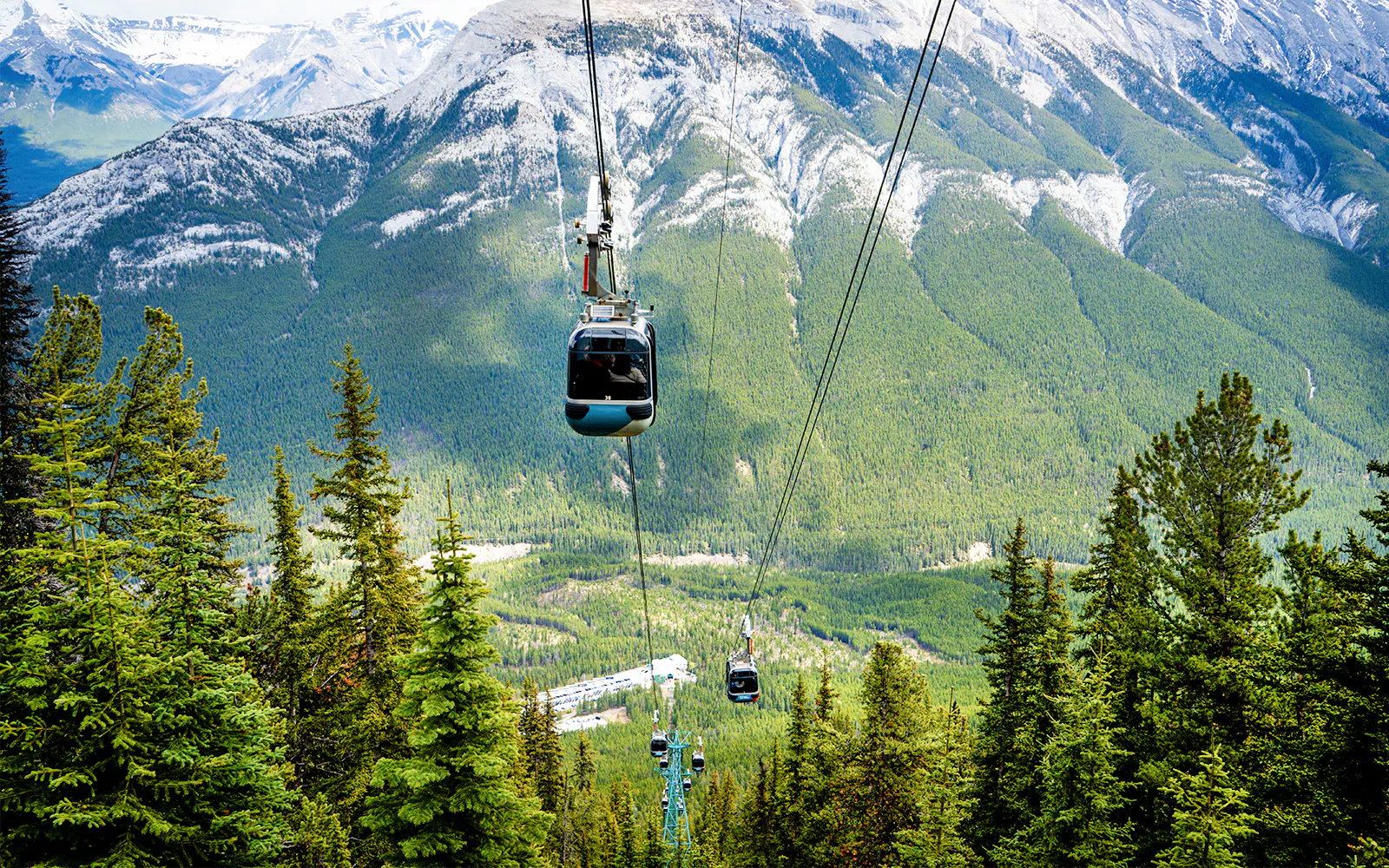 Gondolas ascending a forested slope in Banff National Park, Canada.