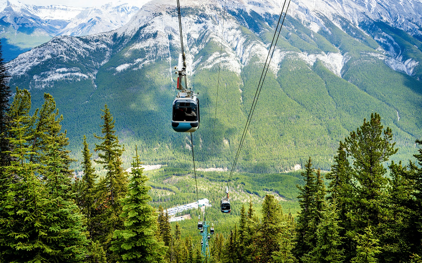 Gondolas ascending a forested slope in Banff National Park, Canada.