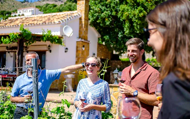 Málaga Wine Tour with Vineyard & Cellar Visits, Wine Tastings and Tapas