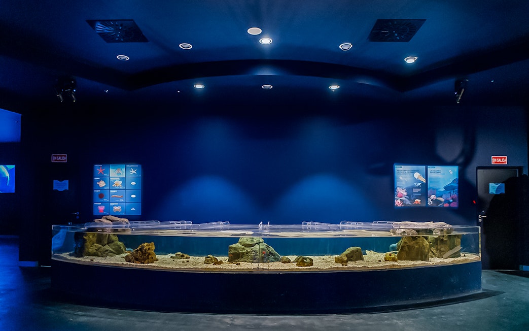 Aquarium tank with rocks and sand at Atlantis Aquarium exhibit.