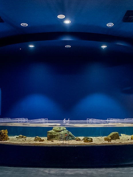 Aquarium tank with rocks and sand at Atlantis Aquarium exhibit.