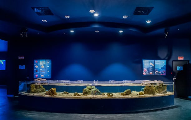 Aquarium tank with rocks and sand at Atlantis Aquarium exhibit.