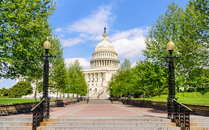 Capitol Building facade with trees in Washington DC.