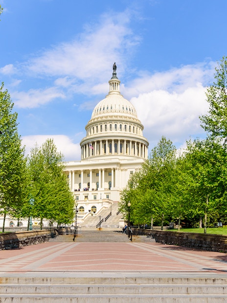 Capitol Building facade with trees in Washington DC.