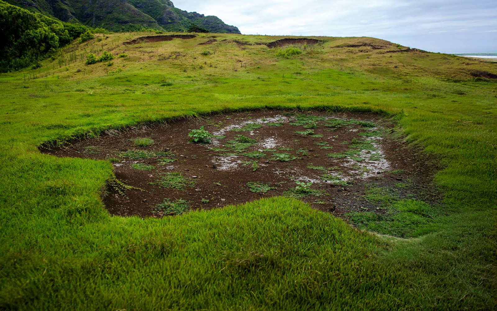 Godzilla’s footprint-shaped depression at Kualoa Ranch, surrounded by lush greenery.