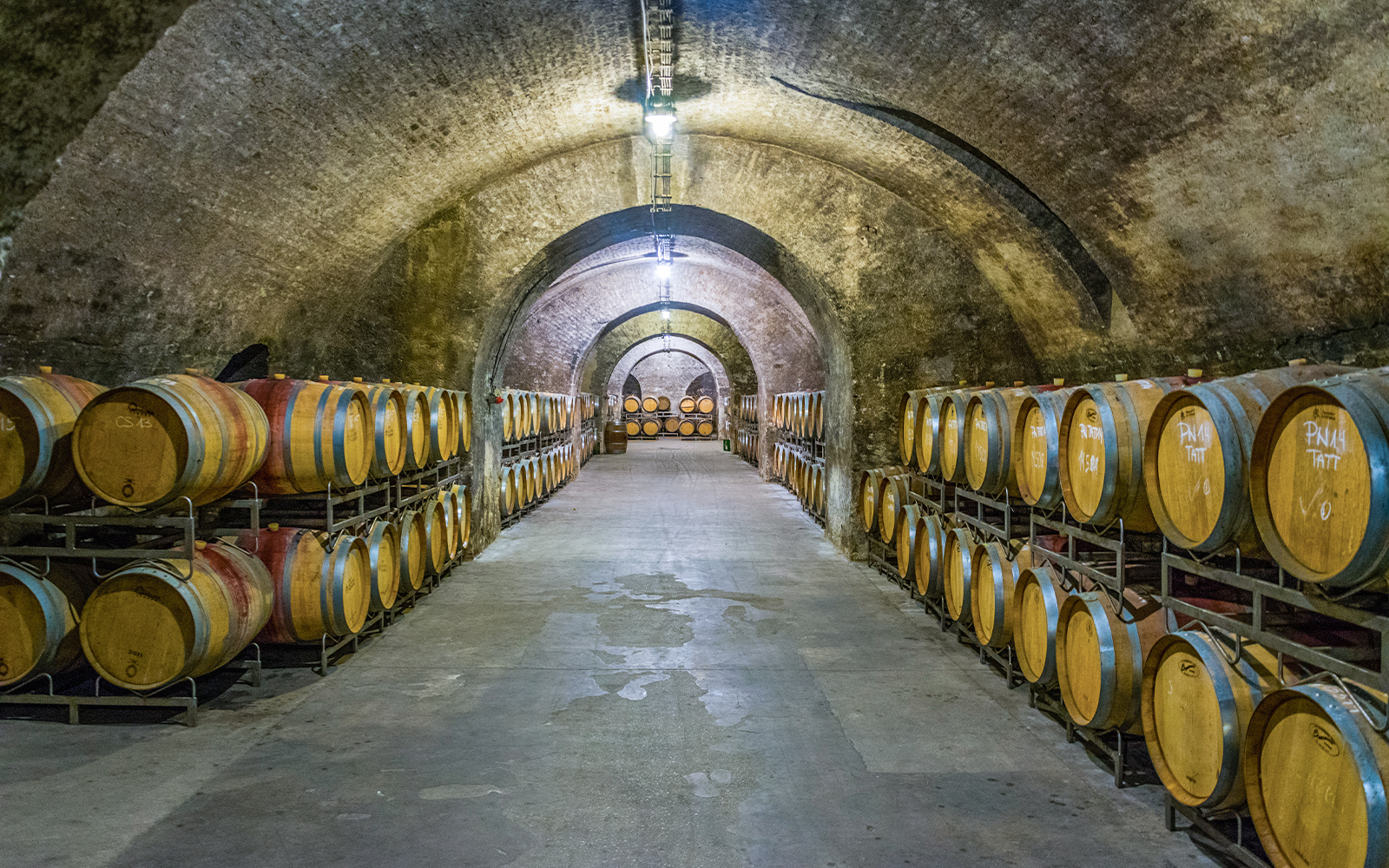 wine cellar of the klosterneuburg abbey in Austria