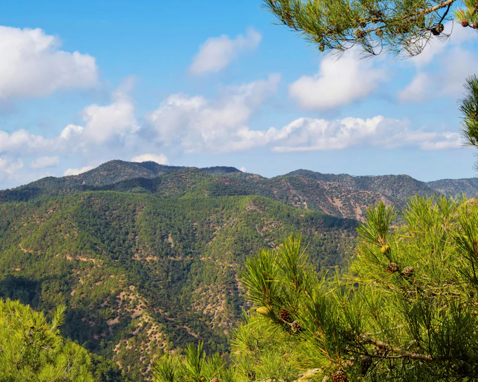 From Limassol: Private Troodos, Kykkos Monastery & Aphrodite's Birthplace Tour