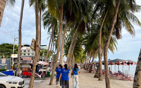 Beachfront path lined with palm trees in Bangsaen, part of the Bangkok to Bangsaen ATV & Sunset Adventure.