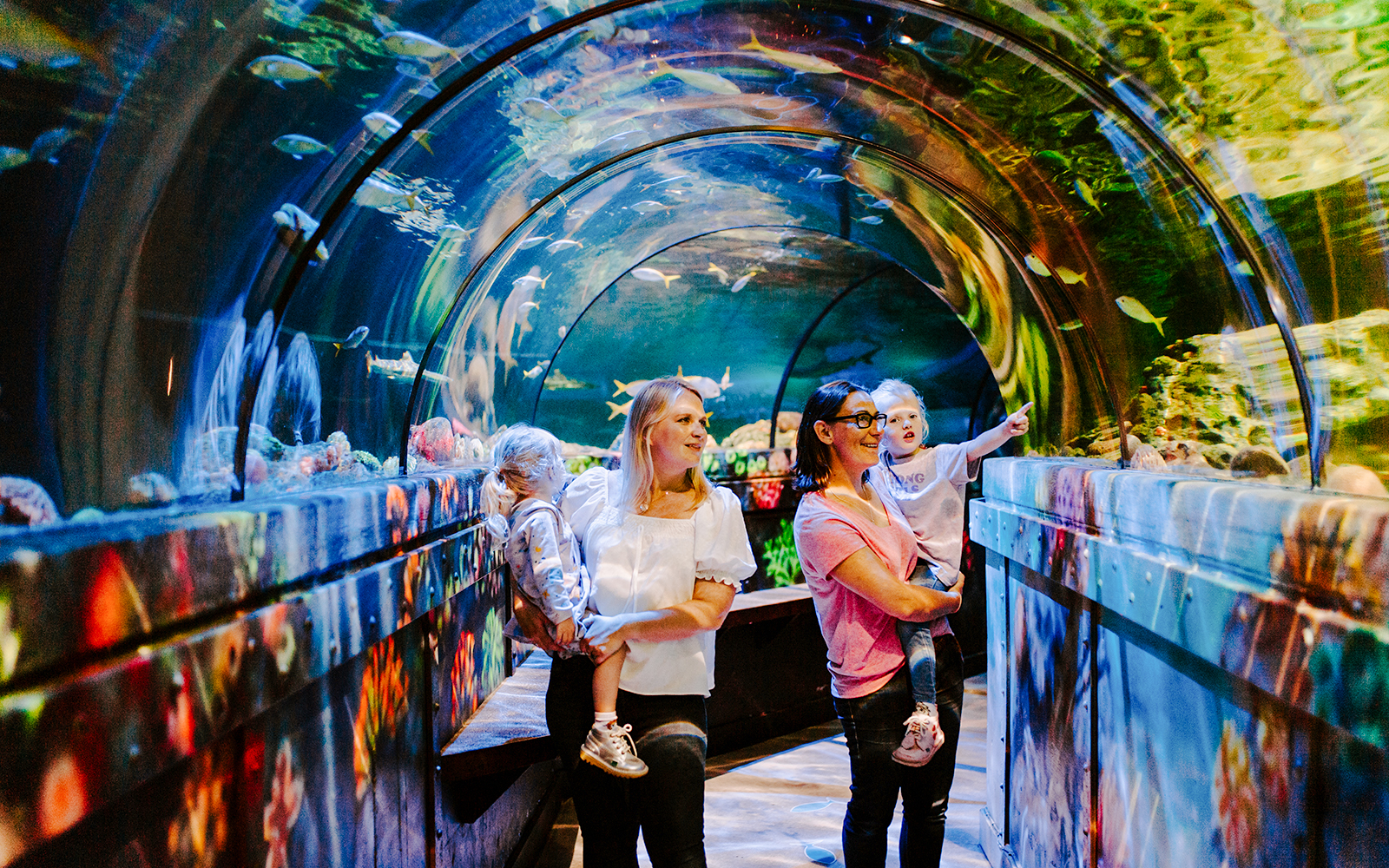 Guests exploring underwater tunnel at SEA Life Brighton.