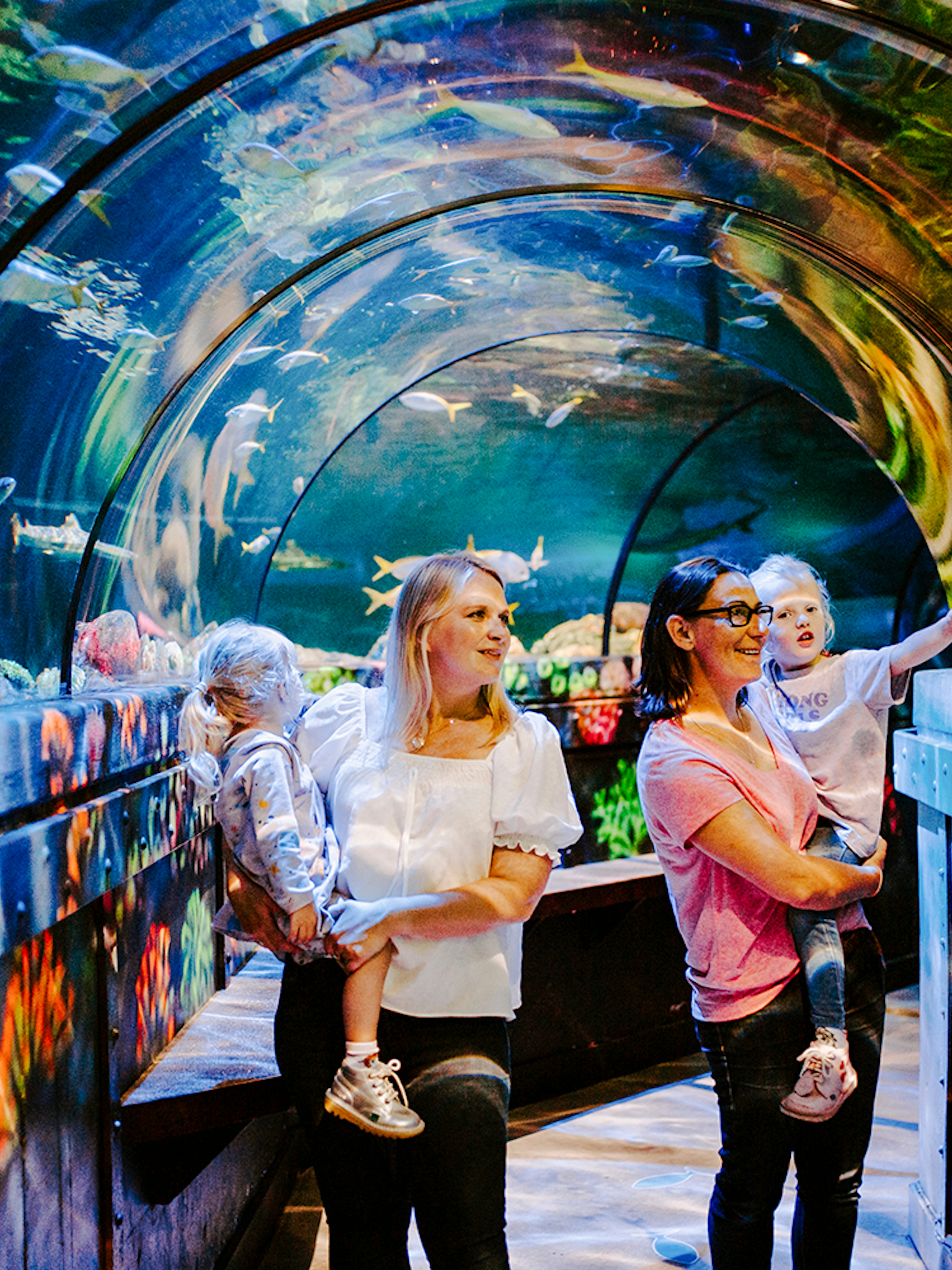 Guests exploring underwater tunnel at SEA Life Brighton.