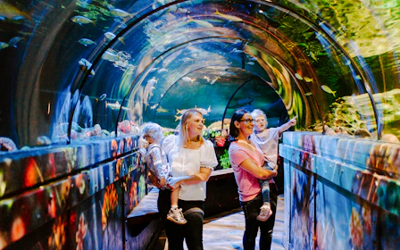 SEA LIFE Brighton: Standard Admission Tickets