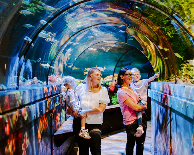 SEA LIFE Brighton: Standard Admission Tickets