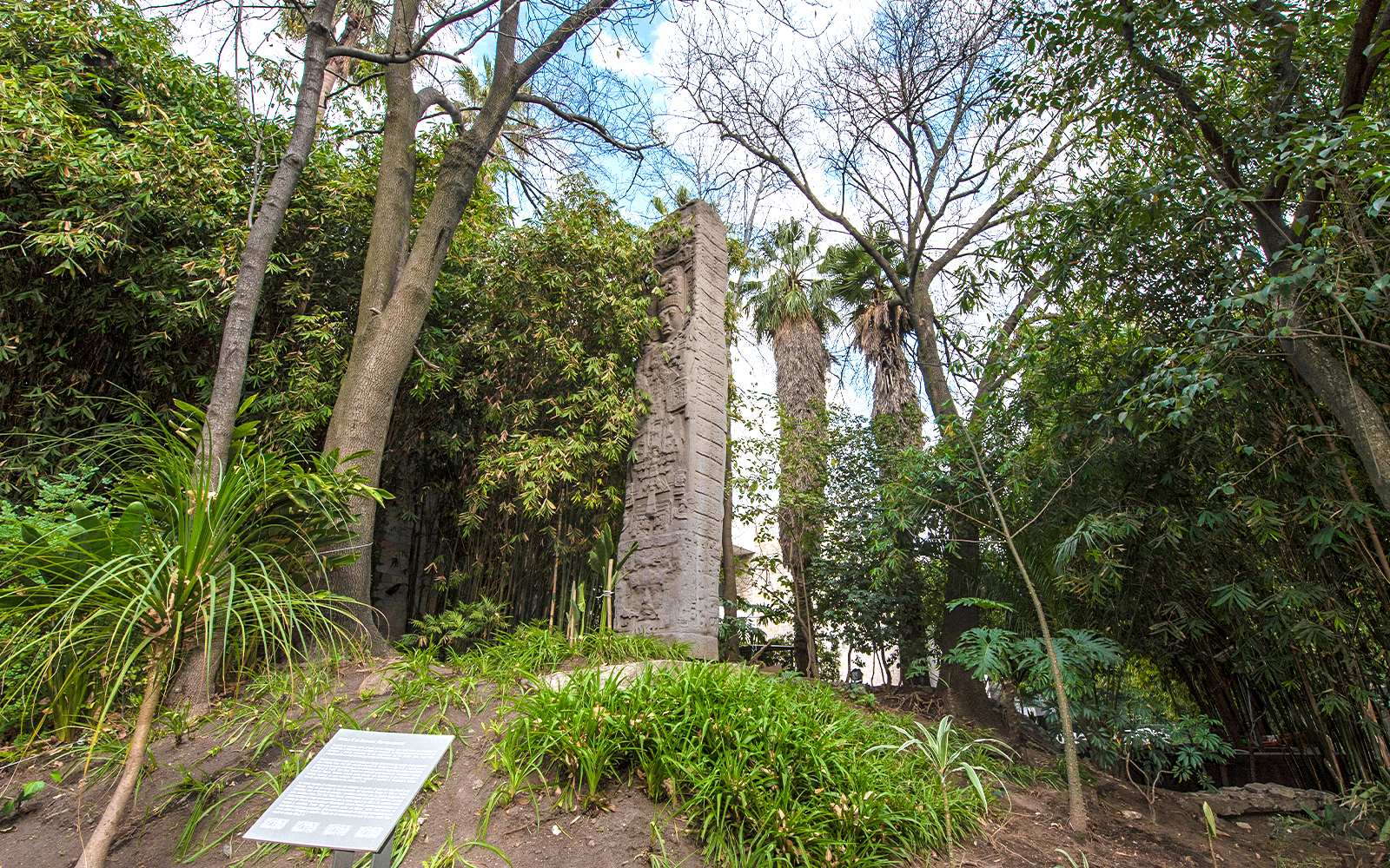 Stone monolith surrounded by trees at the National Museum of Anthropology, Mexico City.