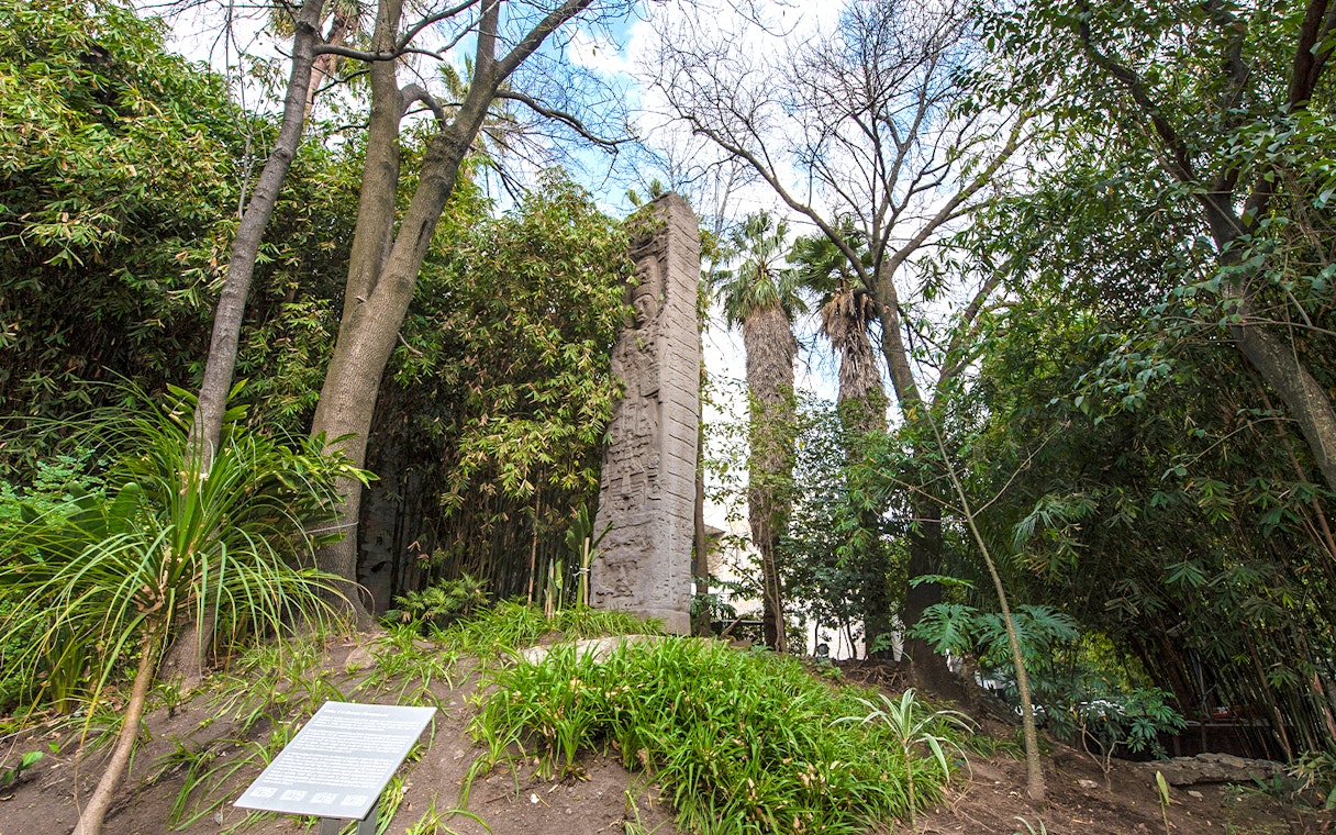 Stone monolith surrounded by trees at the National Museum of Anthropology, Mexico City.