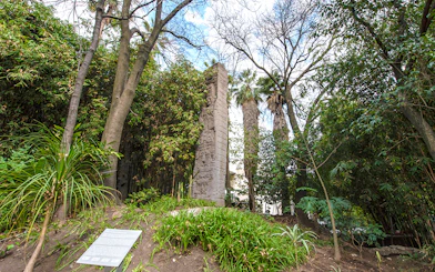 Stone monolith surrounded by trees at the National Museum of Anthropology, Mexico City.