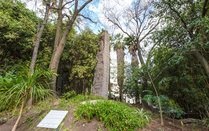 Stone monolith surrounded by trees at the National Museum of Anthropology, Mexico City.