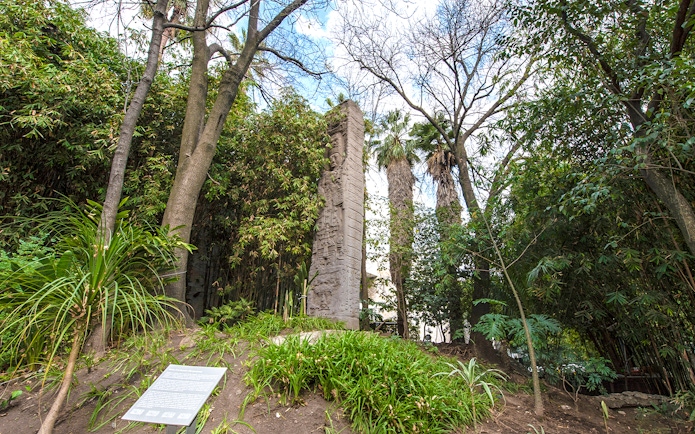 Stone monolith surrounded by trees at the National Museum of Anthropology, Mexico City.