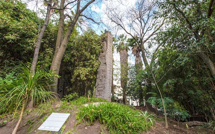 Stone monolith surrounded by trees at the National Museum of Anthropology, Mexico City.