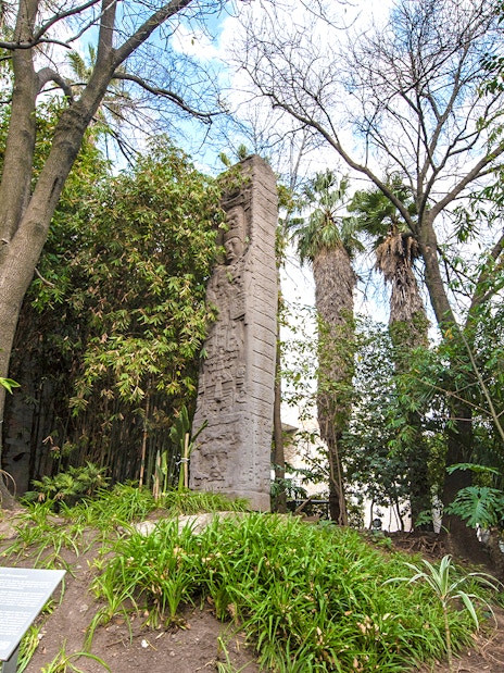 Stone monolith surrounded by trees at the National Museum of Anthropology, Mexico City.