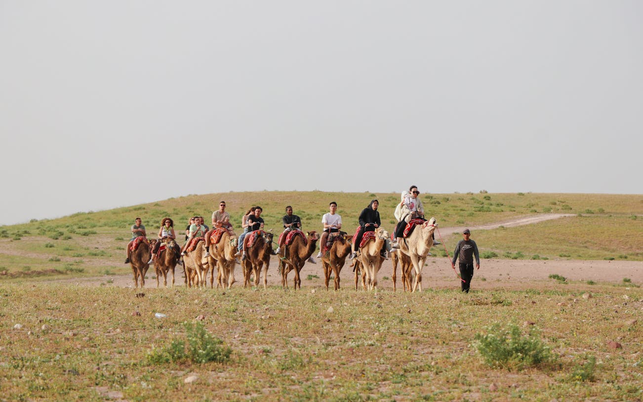 Group camel ride in Agafay desert during safari lunch tour.