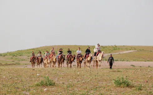 Group camel ride in Agafay desert during safari lunch tour.