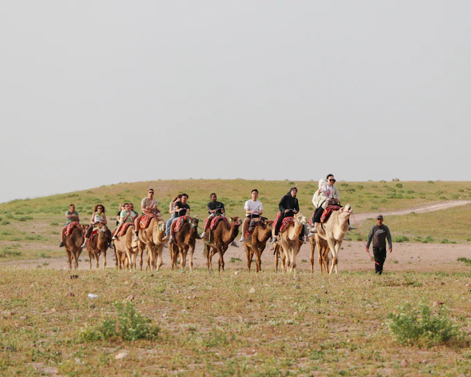 Agafay Desert Camel Ride & Lunch with Pool Access & Transfers