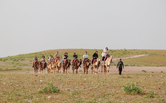 Group camel ride in Agafay desert during safari lunch tour.