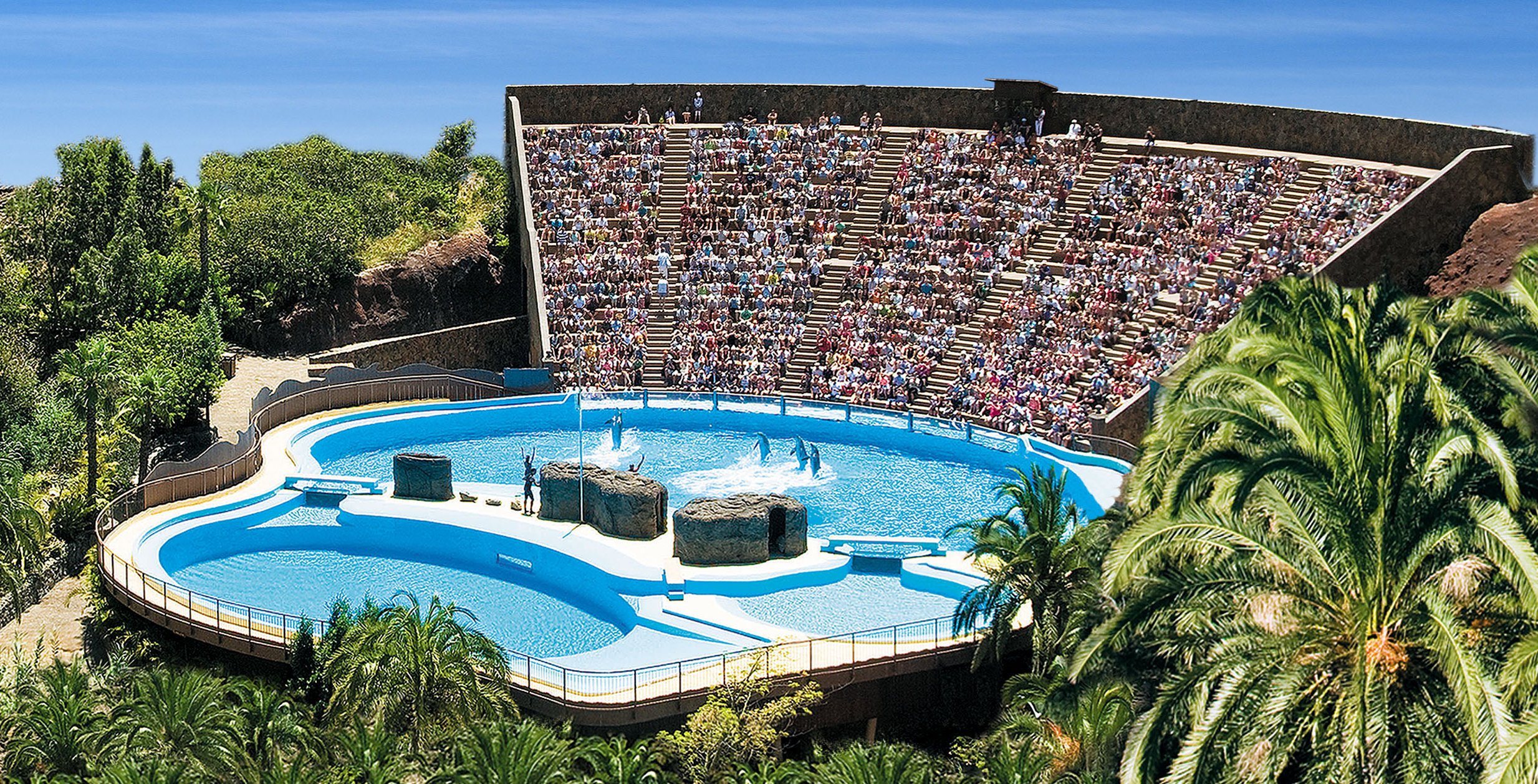 Dolphin show at Palmitos Park zoo amphitheater, Spain, with audience watching.